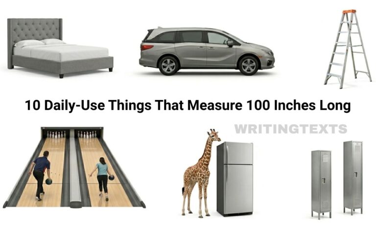 10 Daily-Use Things That Measure 100 Inches Long – 2026