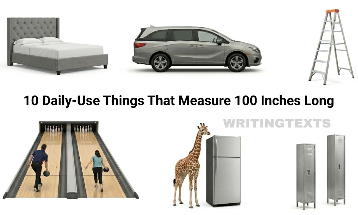 10 Daily-Use Things That Measure 100 Inches Long – 2026