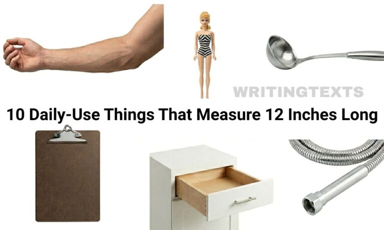 10 Daily-Use Things That Measure 12 Inches Long