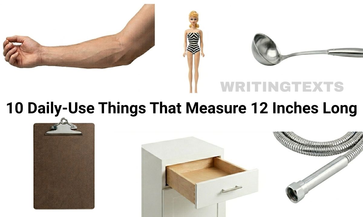 10 Daily-Use Things That Measure 12 Inches Long