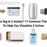 How Big is 2 Inches? 17 Common Things To Help You Visualize 2 Inches