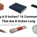 How Big is 8 Inches? 16 Common Things That Are 8 Inches Long