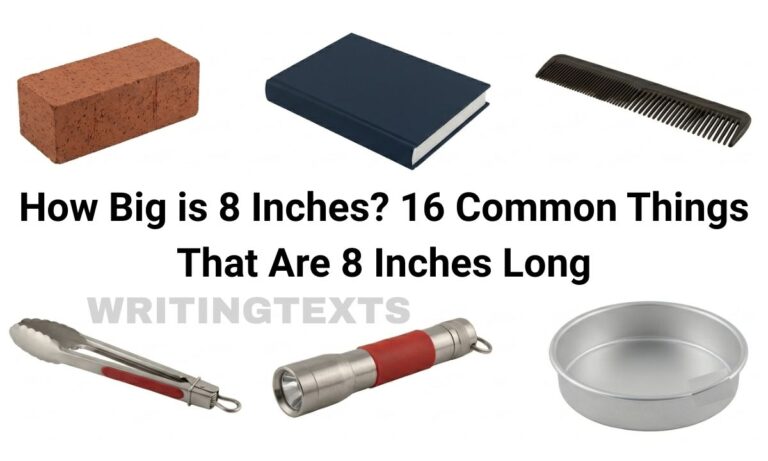 How Big is 8 Inches? 16 Common Things That Are 8 Inches Long
