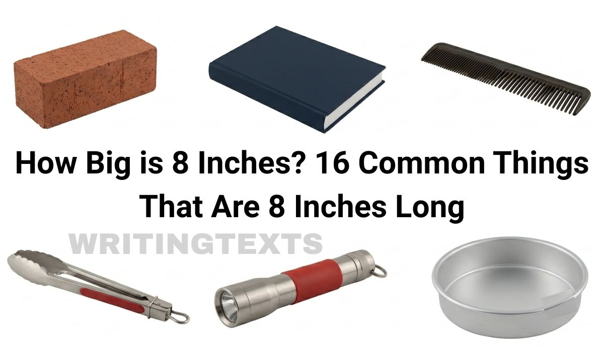 How Big is 8 Inches? 16 Common Things That Are 8 Inches Long