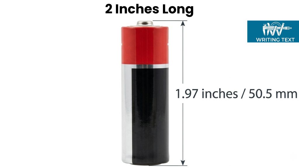 AA Battery 2 Inches Big or Long