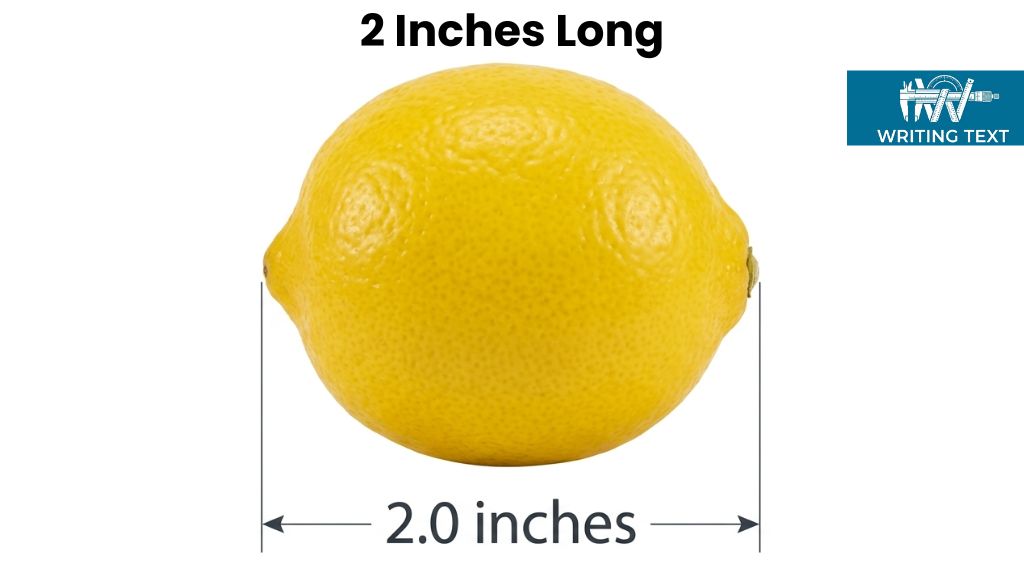 Small Lemon 2 Inches Big or Long