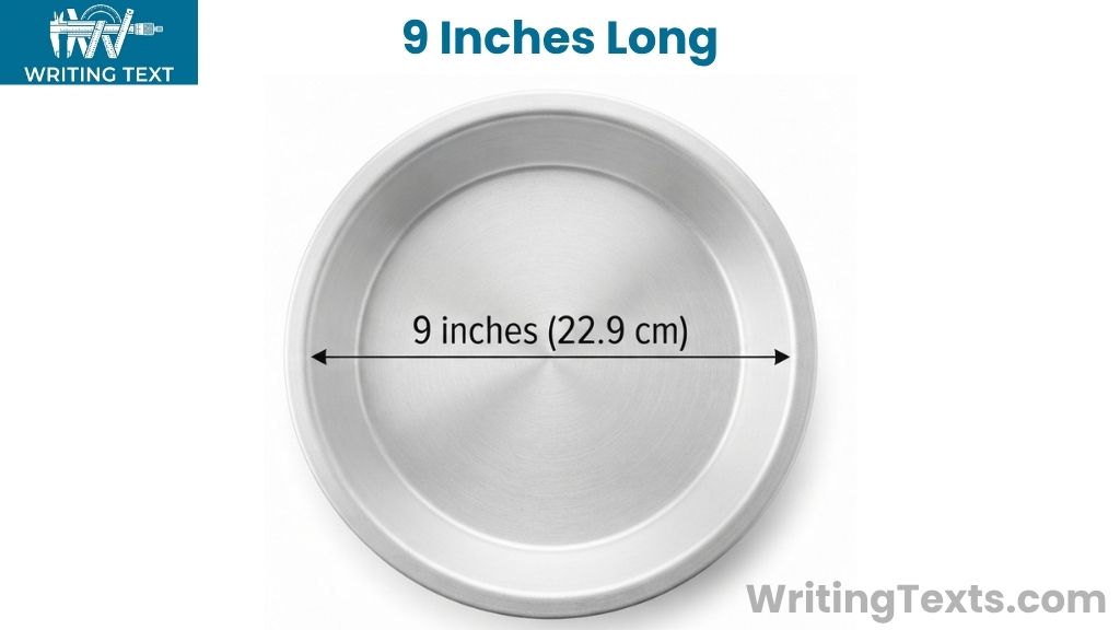 9-Inch Pie Pan That Is 9 Inches Long