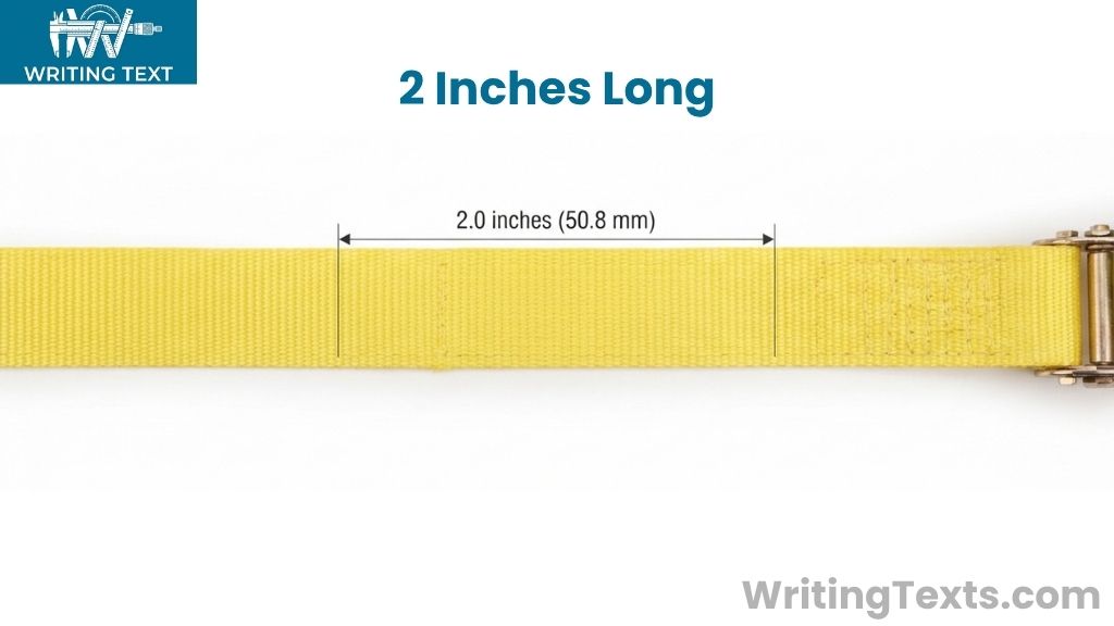 Heavy-Duty Ratchet Strap Webbing That Is 2 Inches Long