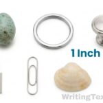 How Long is 1 Inch? 12 Common Things That Are An Inch Long