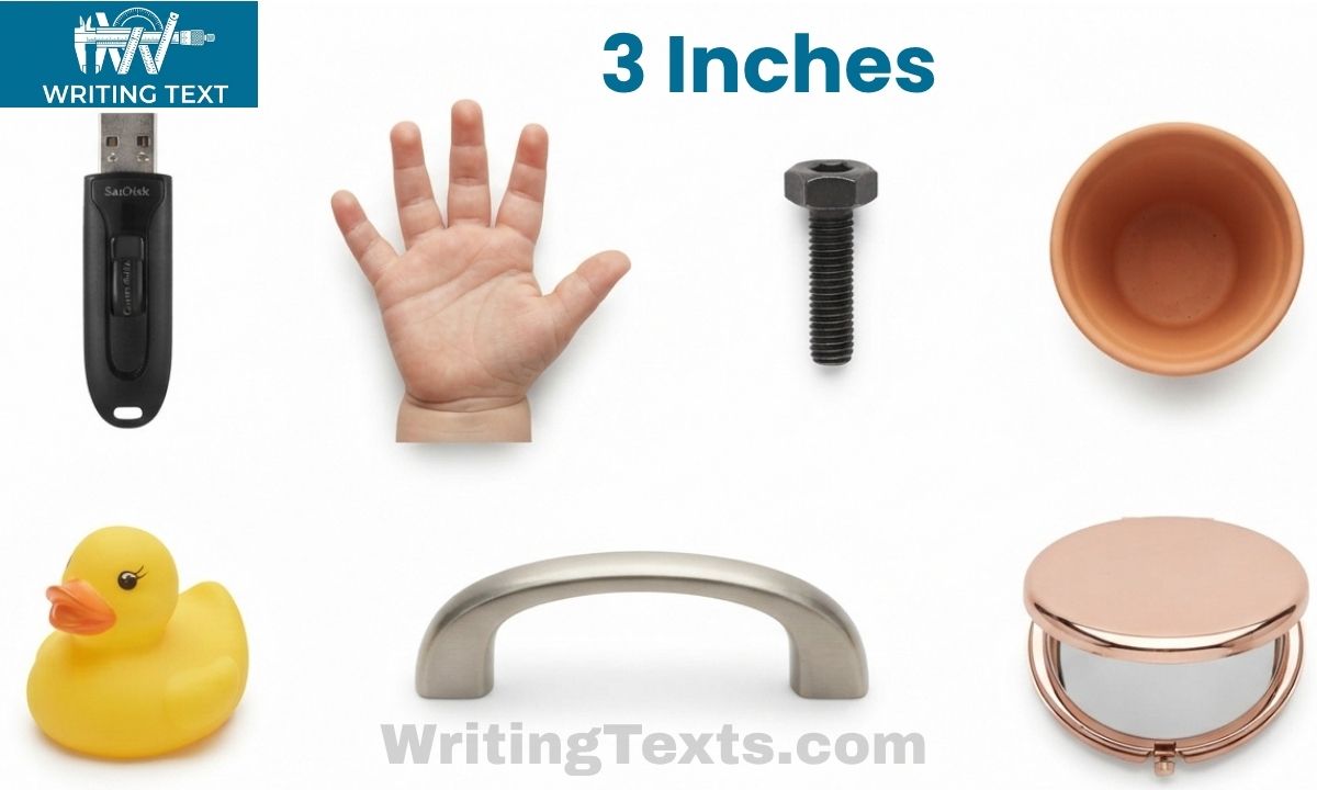 How Long is 3 Inches? 13 Common Things That Are 3 Inches Long